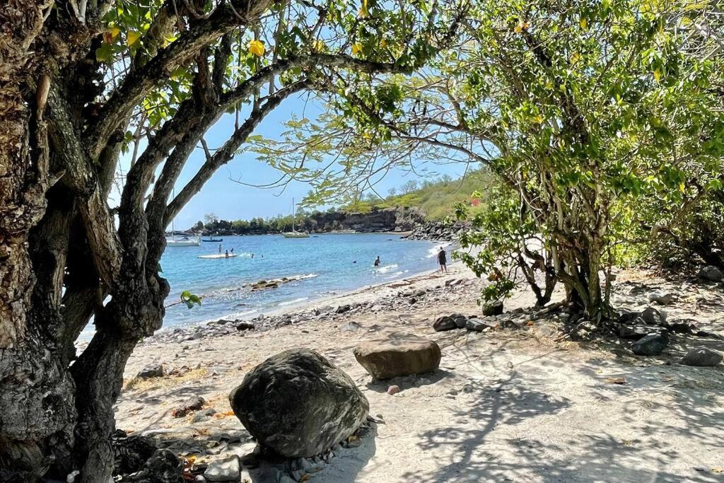 Location Gite Bungalow A 70M De La Plage 波尔兰特 外观 照片