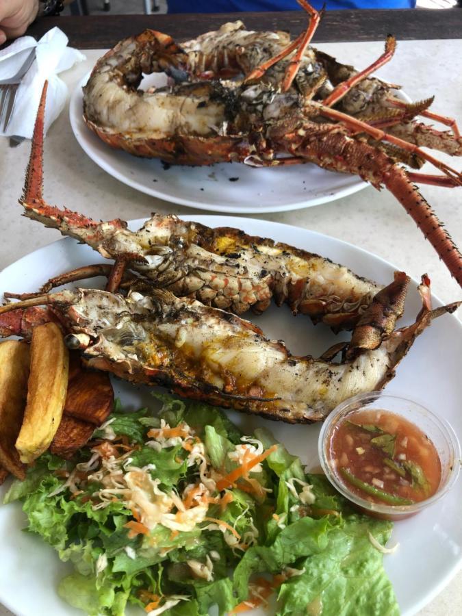 Location Gite Bungalow A 70M De La Plage 波尔兰特 外观 照片