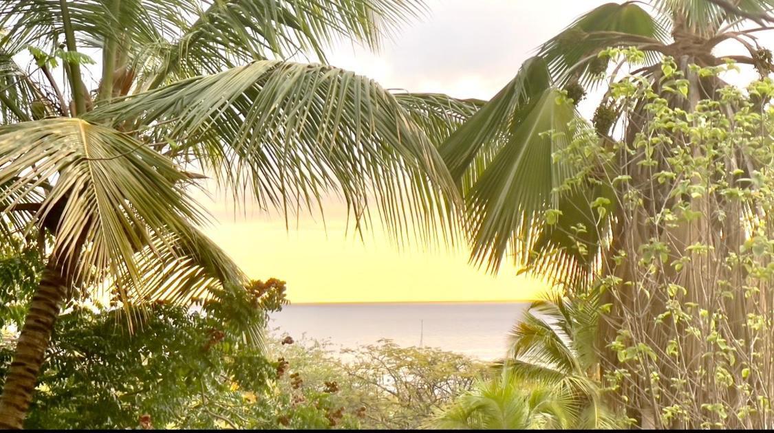 Location Gite Bungalow A 70M De La Plage 波尔兰特 外观 照片